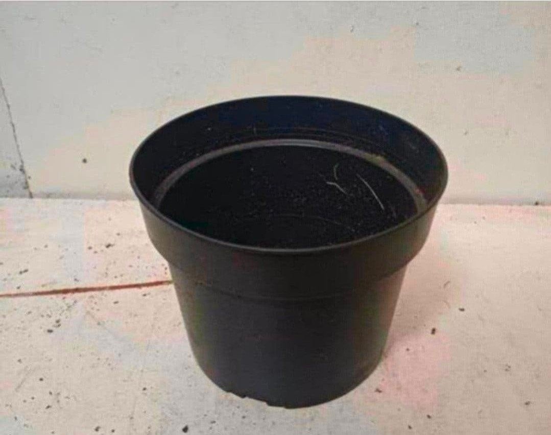 kweekpotten plantenpotten bloempotten 2 liter, Kunststof, Gebruikt, Rond, Ophalen of Verzenden