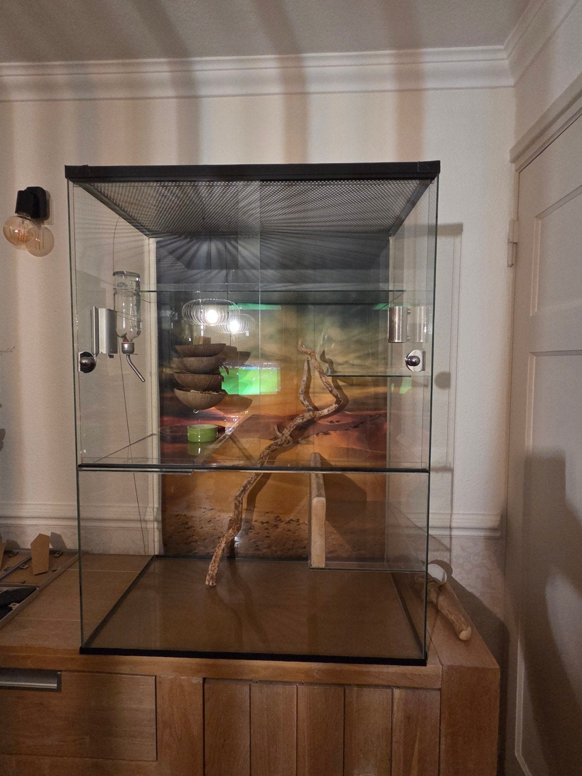 glazen kooi + extraatjes. lxbxd = 100 x 73 x 40 cm, Dieren en Toebehoren, Ophalen, Gebruikt, Overige materialen, Overige typen