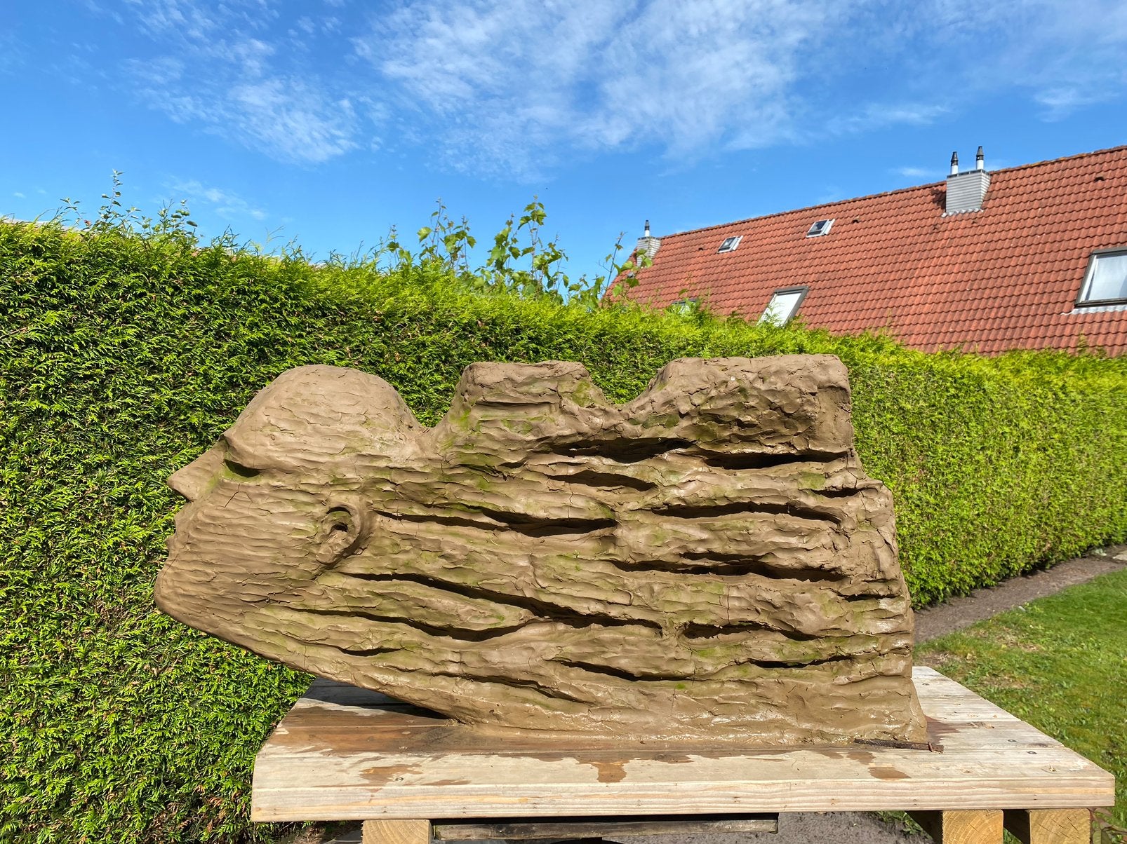 80 kg Klei te koop, Ophalen