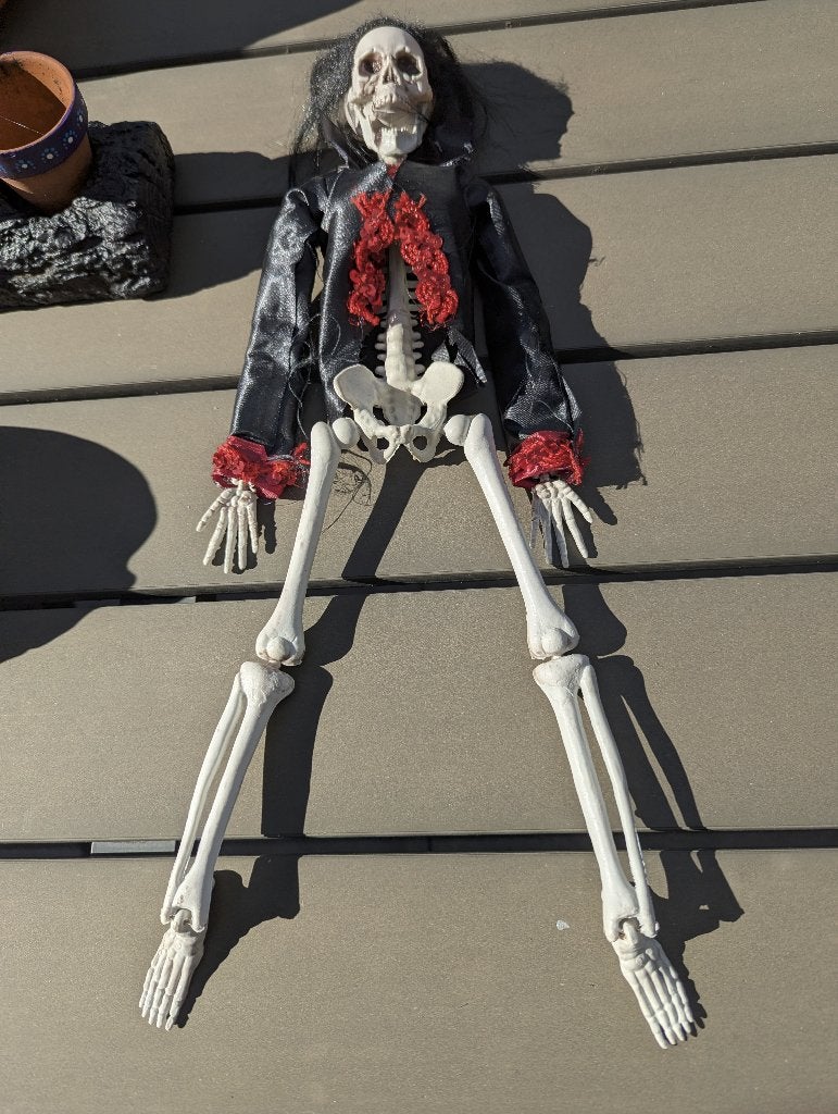 Decoratief Halloween Skelet met Kleding, Ophalen of Verzenden, Gebruikt, Versiering, Halloween of Griezel