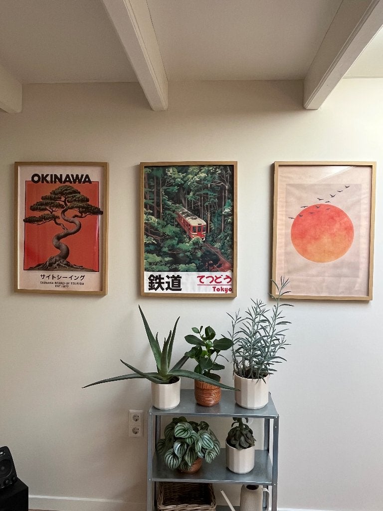 Rodalm posterlijst hout 3x 50x70+ posters, Ophalen, Zo goed als nieuw, Hout, Posterlijst