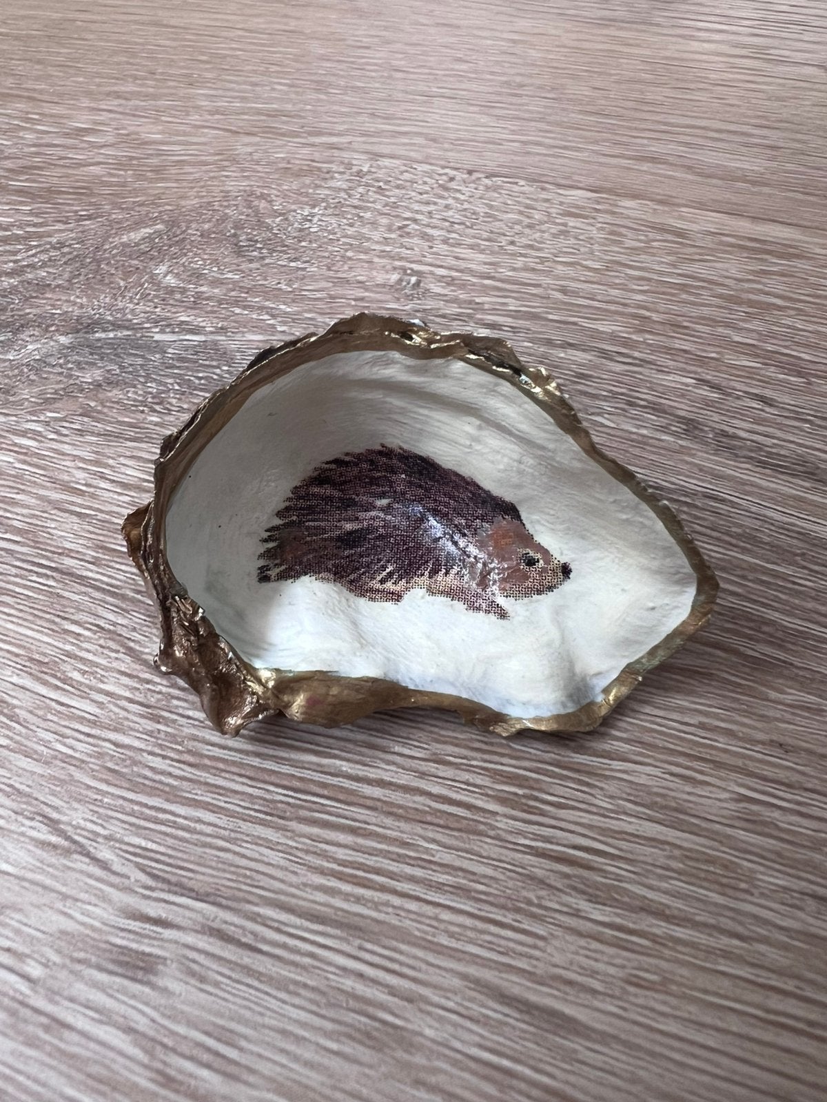 Oesterschelpje met egeltje, Verzamelen, Ophalen of Verzenden, Schelp(en)