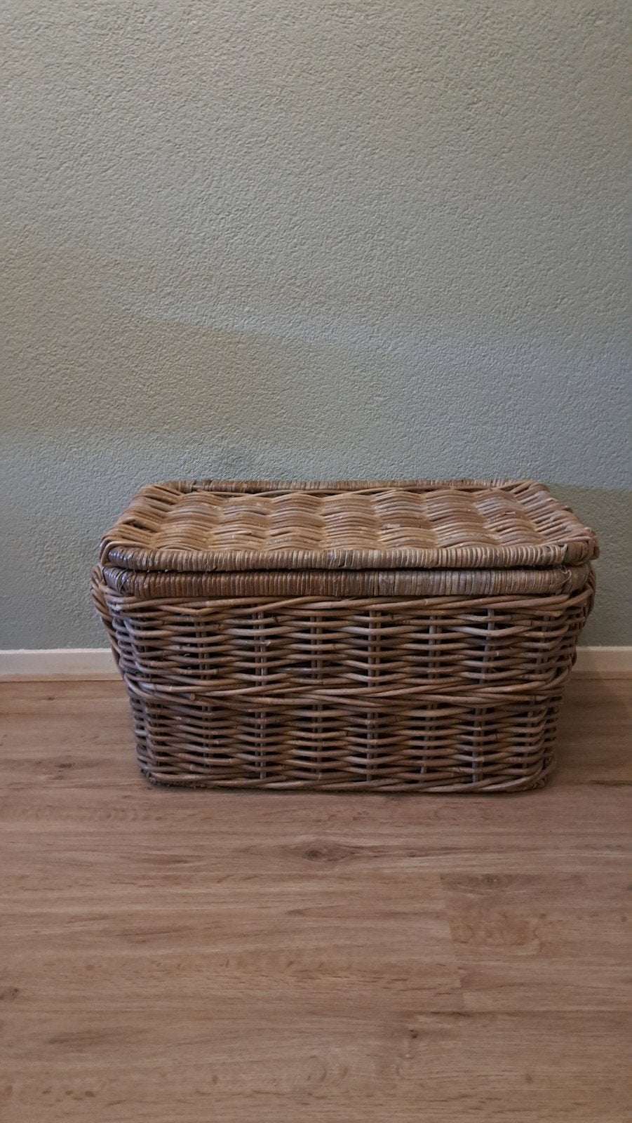 Rietenmand, Huis en Inrichting, Woonaccessoires | Kisten, Ophalen of Verzenden, 50 tot 100 cm, Minder dan 50 cm