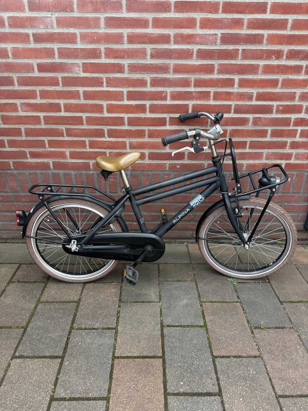 Alpina Cargo 20 inch - Mat Zwart met Bruin Zadel, Fietsen en Brommers, Ophalen, Gebruikt, Terugtraprem, Overige merken