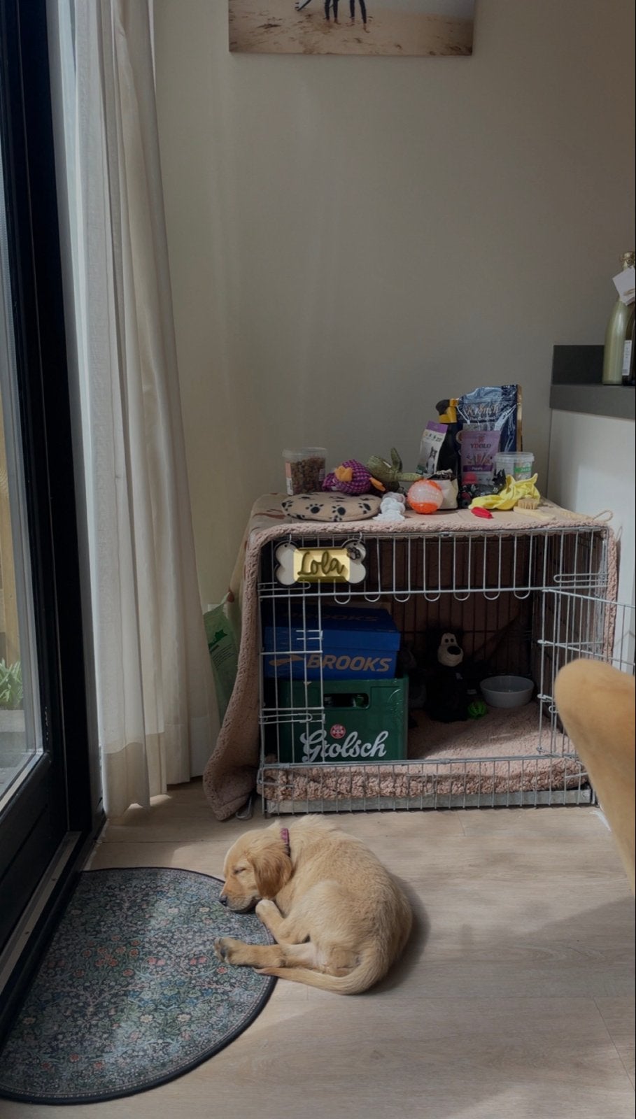 Hondenbench, Ophalen, Zo goed als nieuw