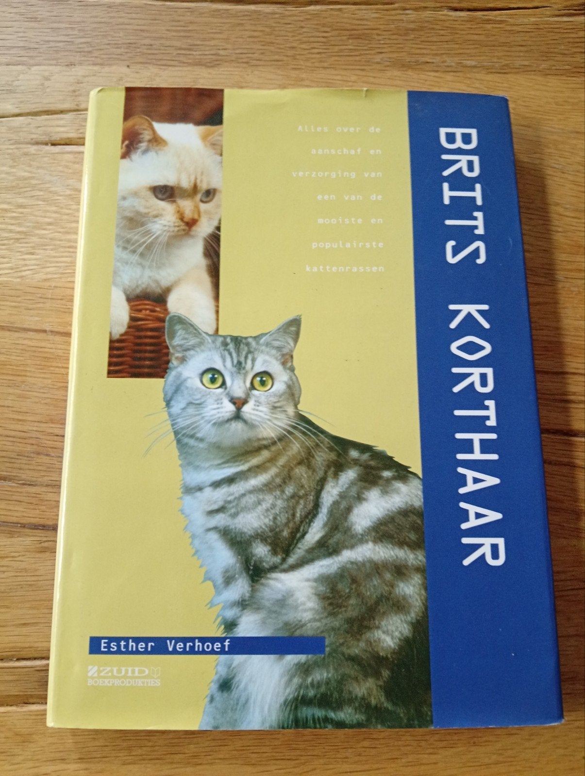 Brits Korthaar boek - Esther verhoef, Boeken, Dieren en Huisdieren, Zo goed als nieuw, Katten, Ophalen of Verzenden