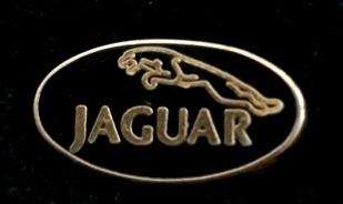 Jaguar pin- zwart-goudkleur, Verzenden, Nieuw, Transport, Speldje of Pin