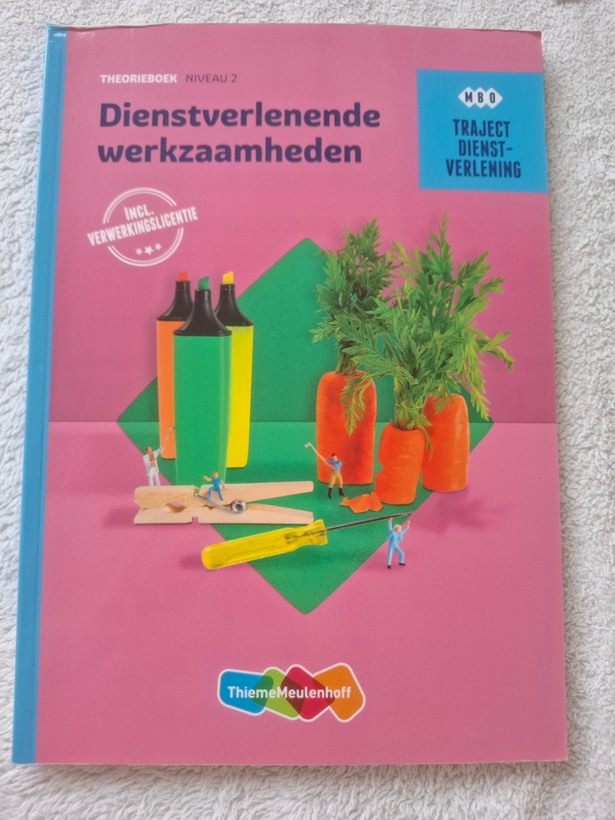 Dienstverlenende Werkzaamheden Theorieboek Niveau 2, VMBO, Overige vakken, R.F.M. van Midde, C.A. Abrahamse, Ophalen of Verzenden