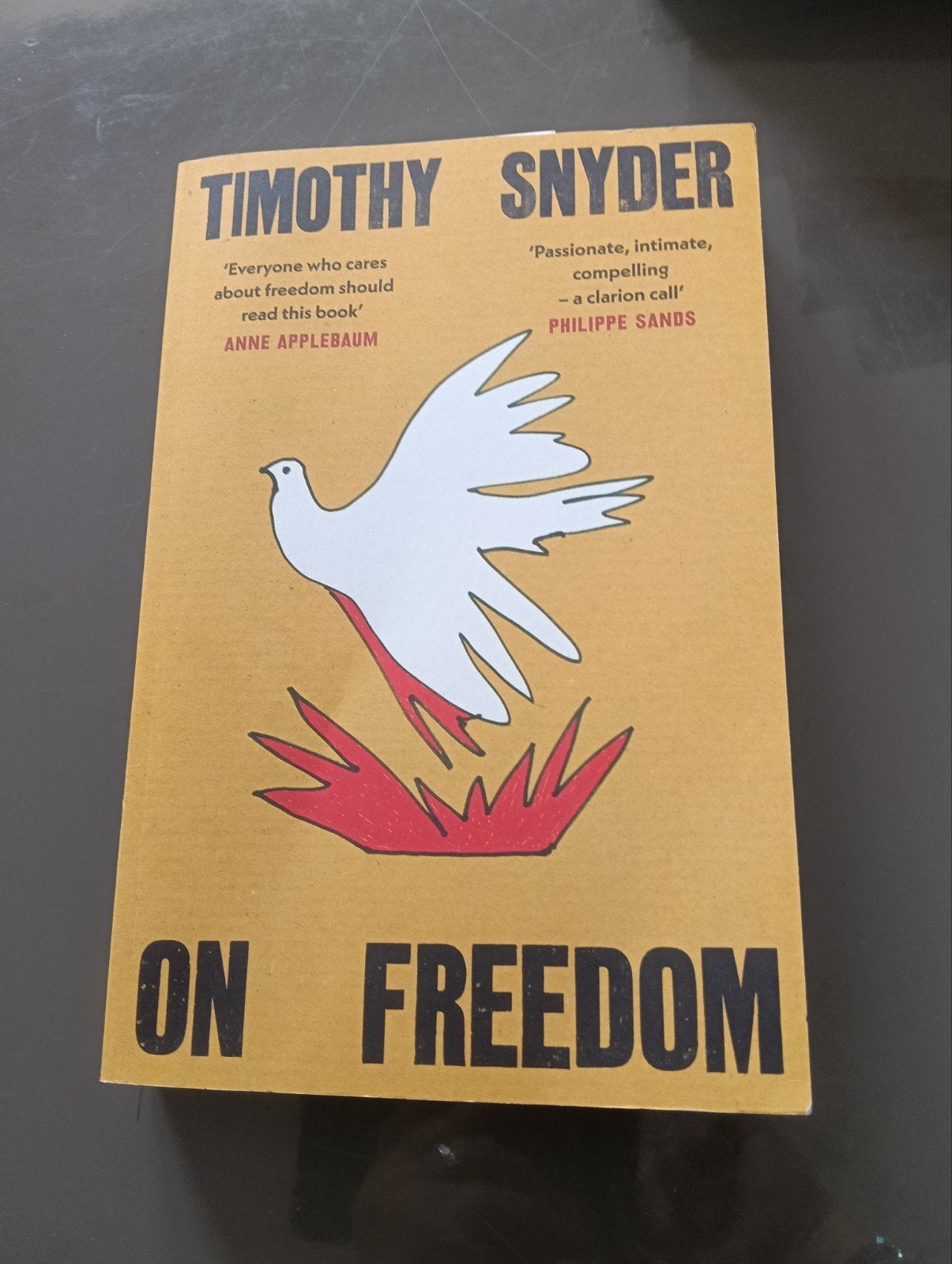 On Freedom - Timothy Snyder (Engels), Ophalen of Verzenden, Zo goed als nieuw, Timothy Snyder, Wereld overig
