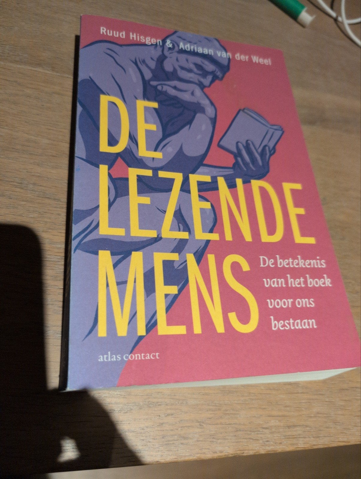 De Lezende Mens - Ruud Hisgen & Adriaan van der Weel, Ophalen of Verzenden, Zo goed als nieuw, Ruud Hisgen & Adriaan van der Weel