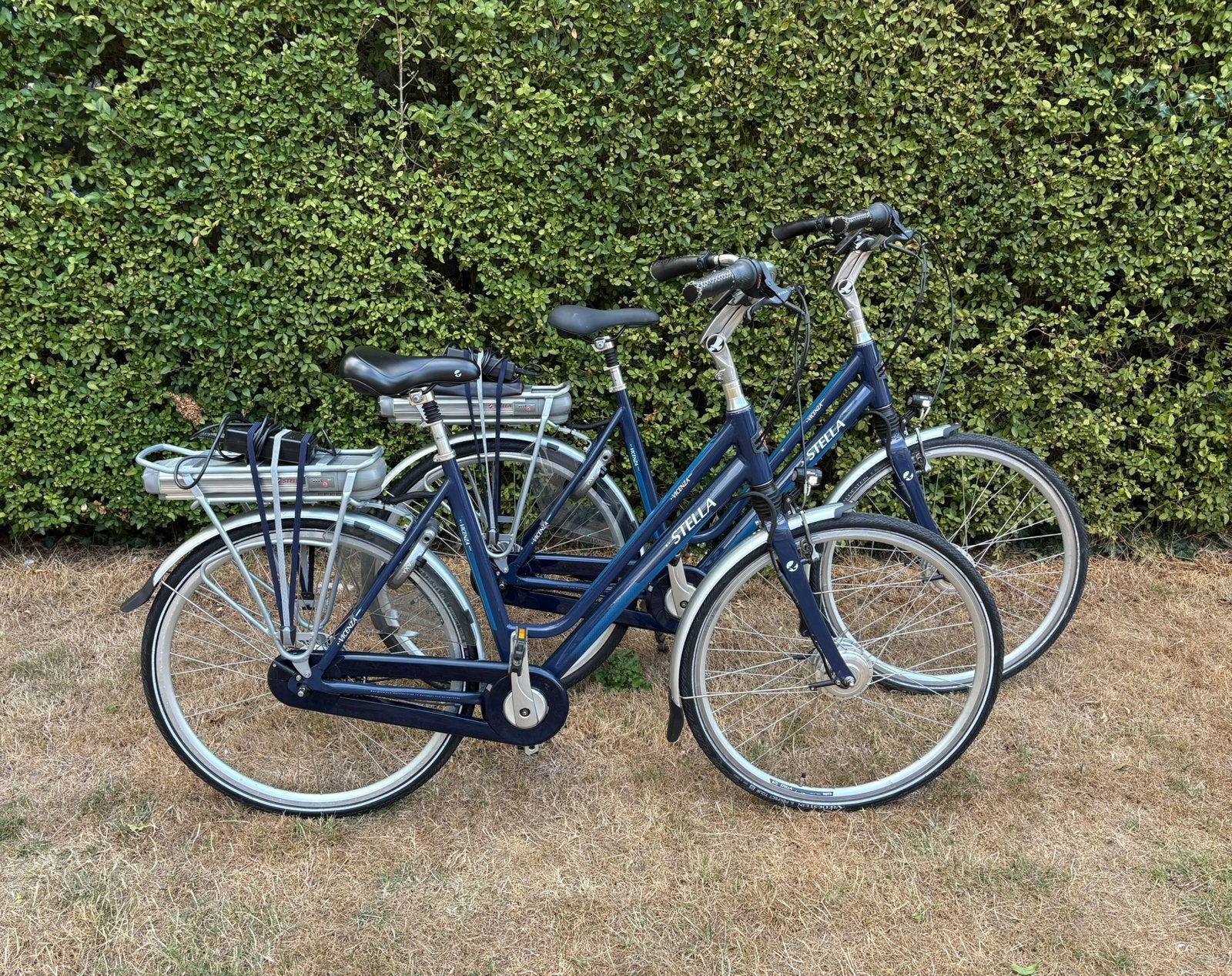 Set van 2 Stella’s | Weinig Kilometers | In Prachtige Staat, 51 tot 55 cm, Ophalen, Zo goed als nieuw, Overige merken