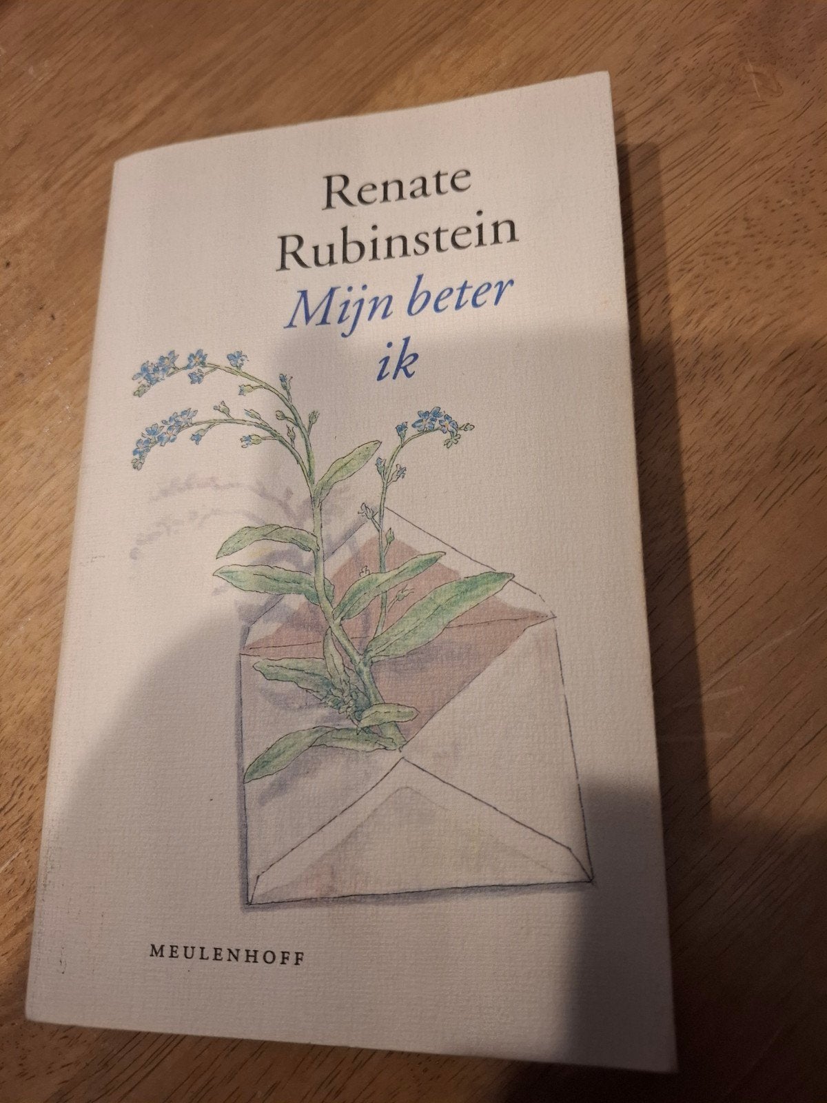 Renate Rubinstein - Mijn beter ik (Meulenhoff), Ophalen of Verzenden, Gelezen, Renate Rubinstein, Nederland