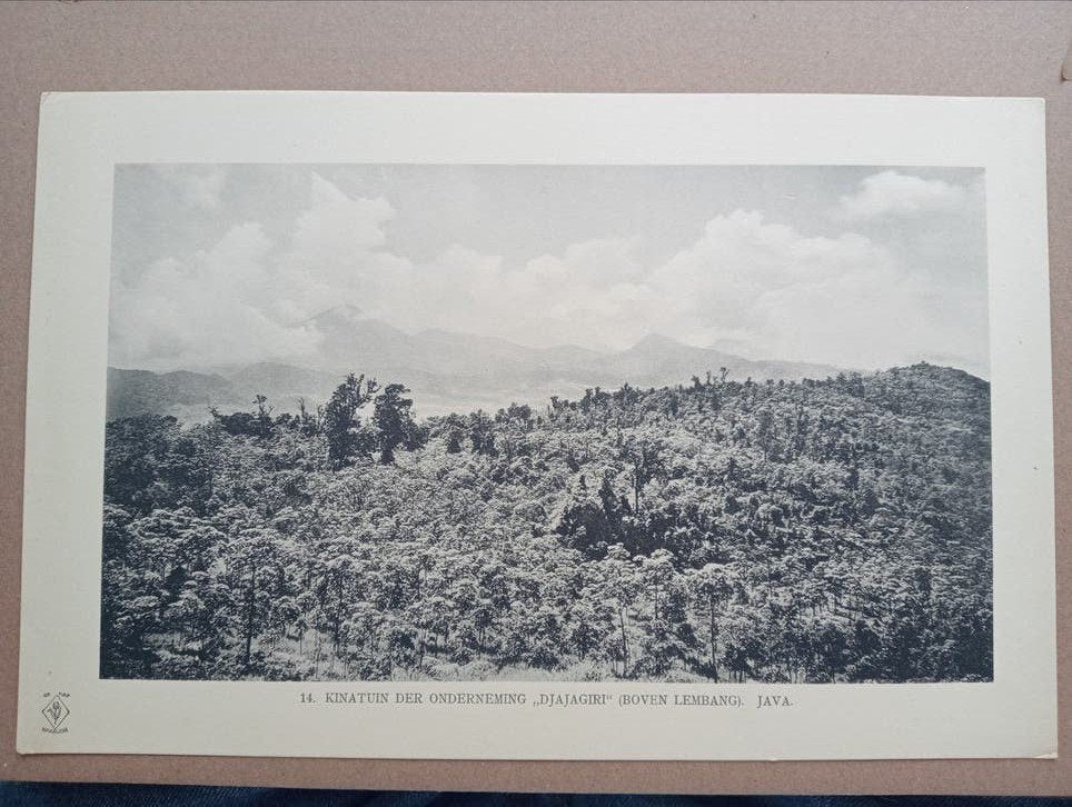 Fotogravure Nederlands-Indië 1910 - Djajagiri Java, Antiek en Kunst, Ophalen of Verzenden, Foto, Fotografie