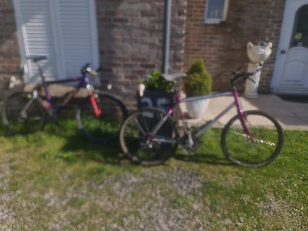 Meisjesfiets koga myata terra runner 50 €, Gebruikt, Versnellingen, Ophalen of Verzenden, 26 inch of meer