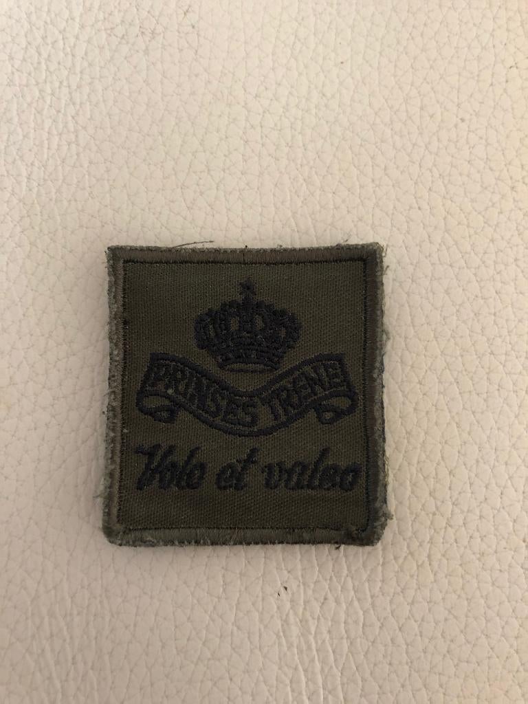 Borstembleem 5x5 17 painfbat Prinses Irene Oirschot, Verzamelen, Militaria | Algemeen, Verzenden, Landmacht, Nederland, Embleem of Badge