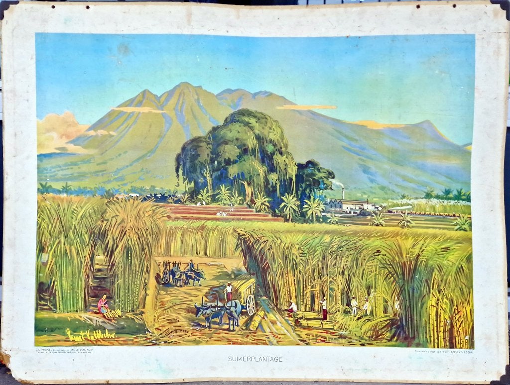 Suikerplantage / Prof. Ernst Vollbehr, Ophalen, Geschiedenis