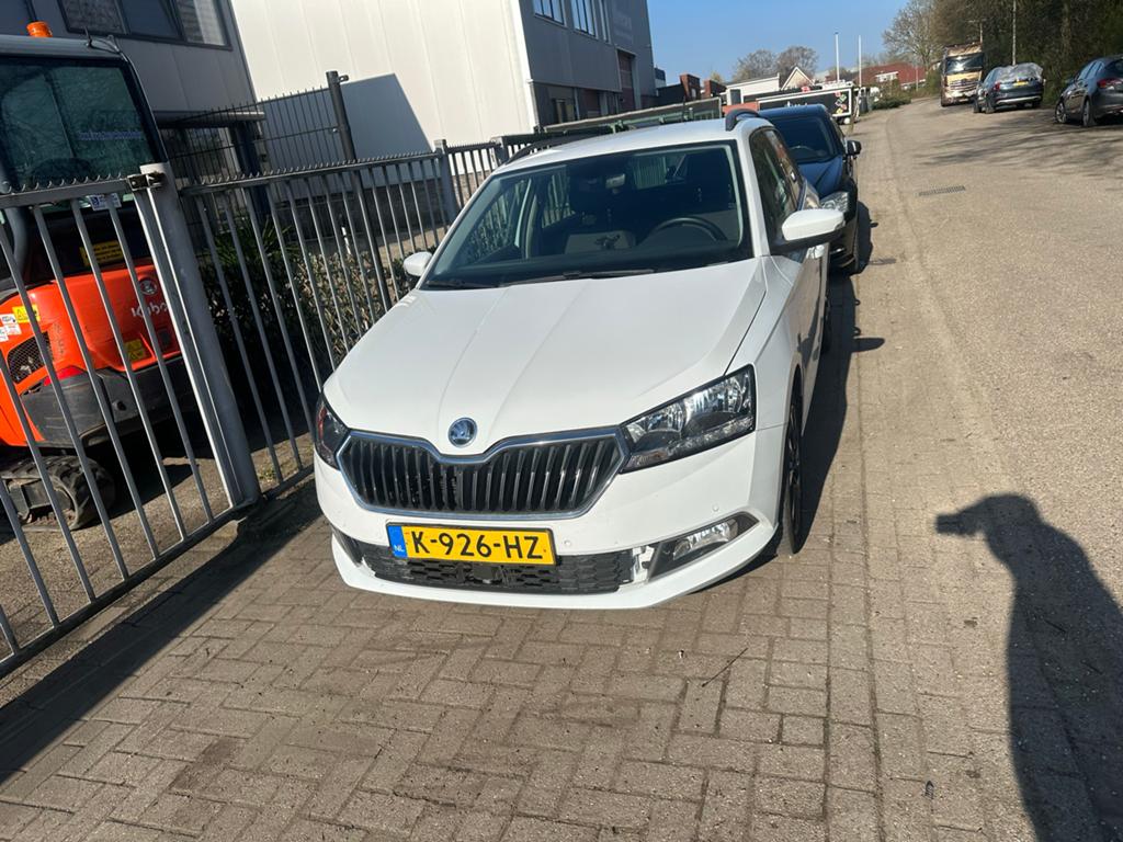 Skoda Fabia 1.0 TSI business editon 95pk 2021 Wit, Voorwielaandrijving, 95 pk, 1036 kg, Origineel Nederlands