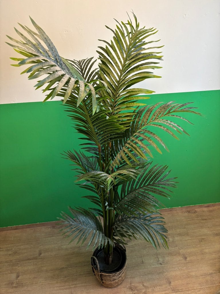 Xenos Palm Kunstplant XL 170 cm met katoenen mand, Ophalen, Kunstplant, Kunststof, Met pot of vaas