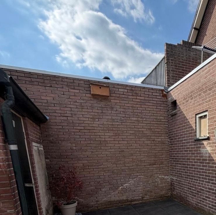 Gezocht voeger voor klein muurtje, Ophalen of Verzenden, Bakstenen