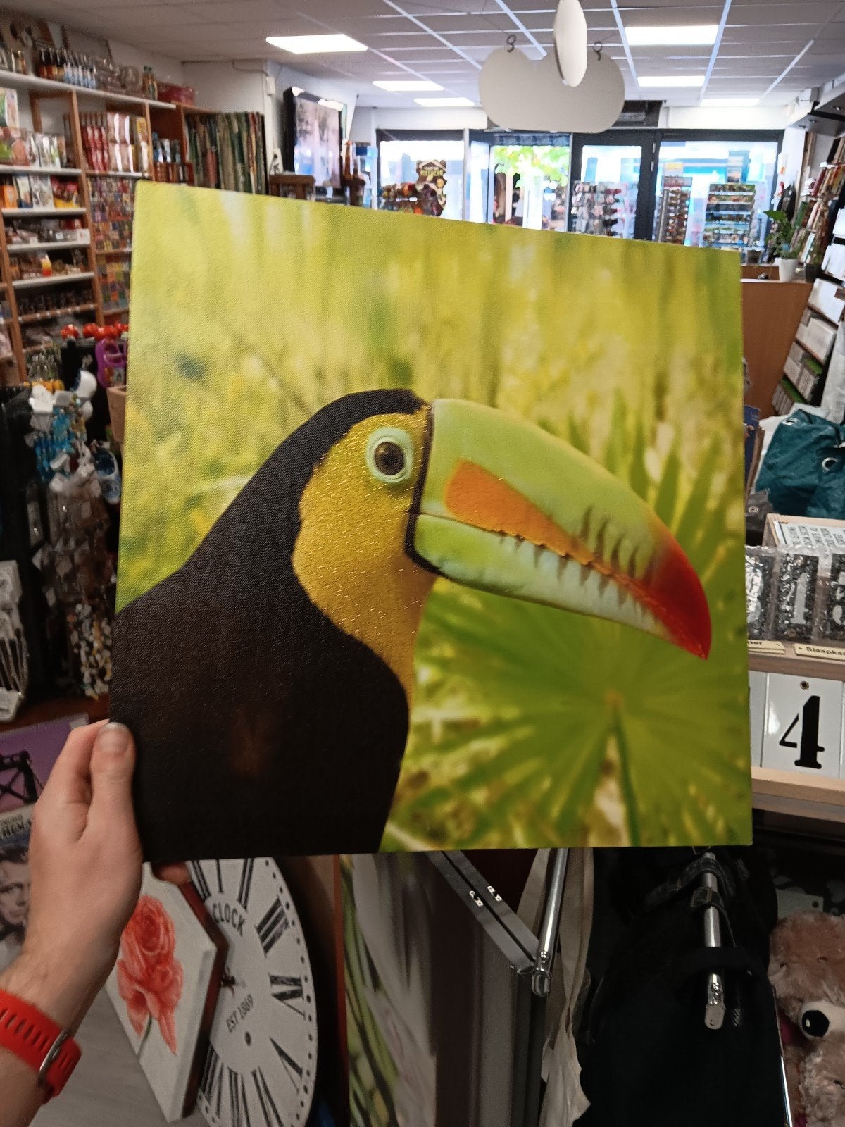 Kleurrijke Toekan Canvas Schilderij - Tropische Kunst, Minder dan 50 cm, Onbekend, Ophalen of Verzenden, Zo goed als nieuw