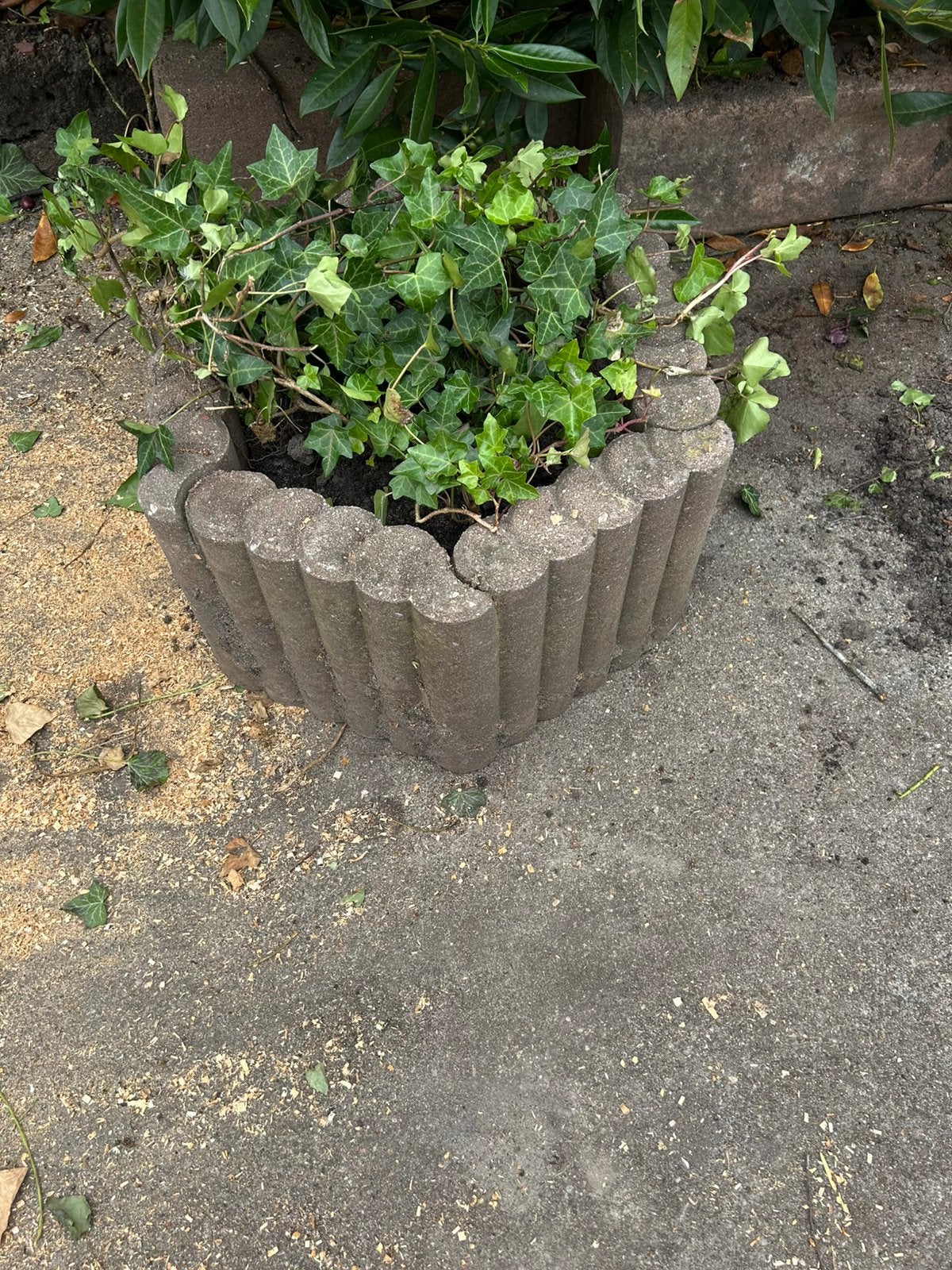 Stenen plantenbak met of zonder klimop. GRATIS, Tuin en Terras, Ophalen, Gebruikt, Blok, Beton