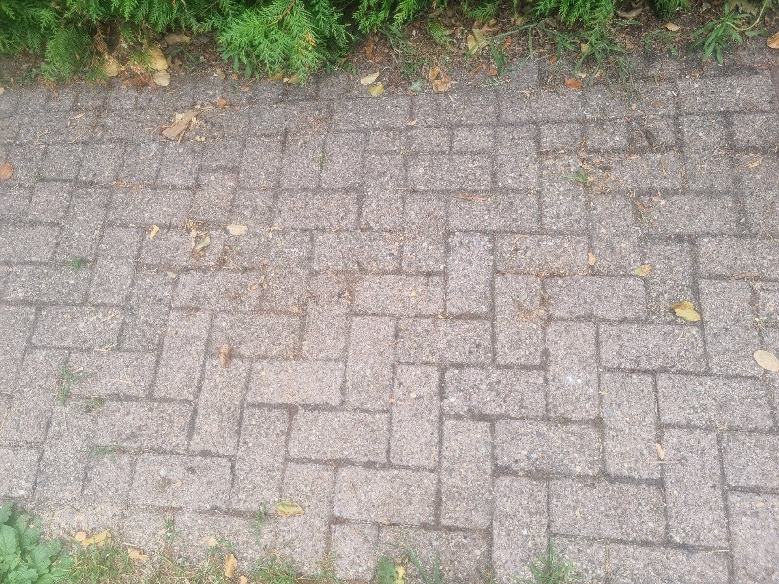 Gratis af te halen: ca. 30 m² gebruikte klinkers, Tuin en Terras, Gebruikt, Klinkers, Ophalen of Verzenden, 10 m² of meer