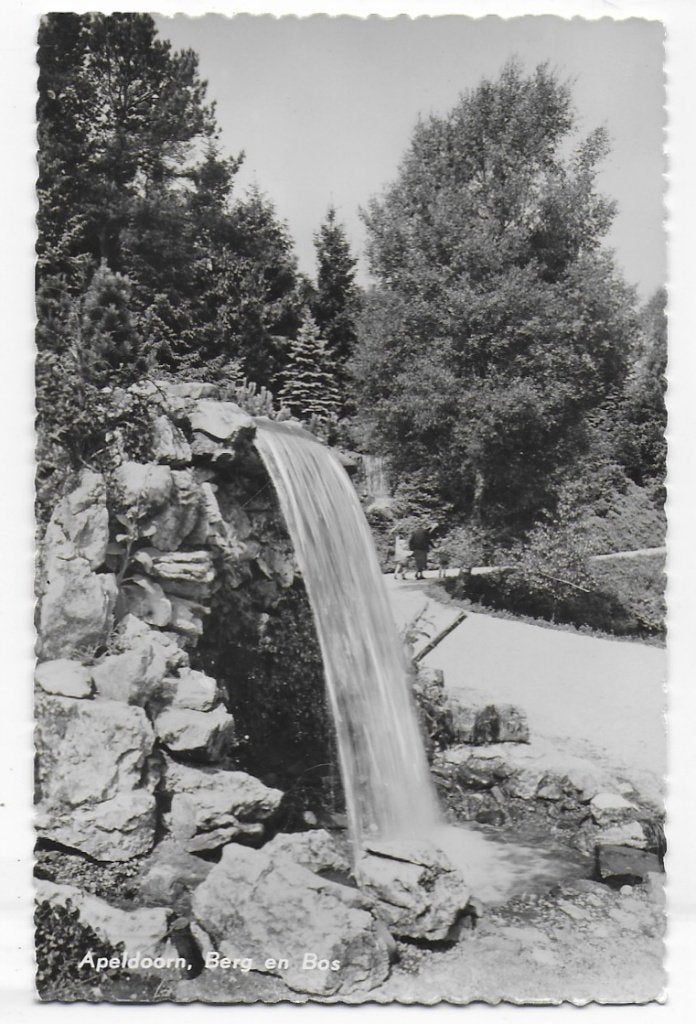 Apeldoorn berg en bos Oude Ongelopen Ansichtkaart ( B1269, Ophalen of Verzenden, 1940 tot 1960, Gelopen, Gelderland
