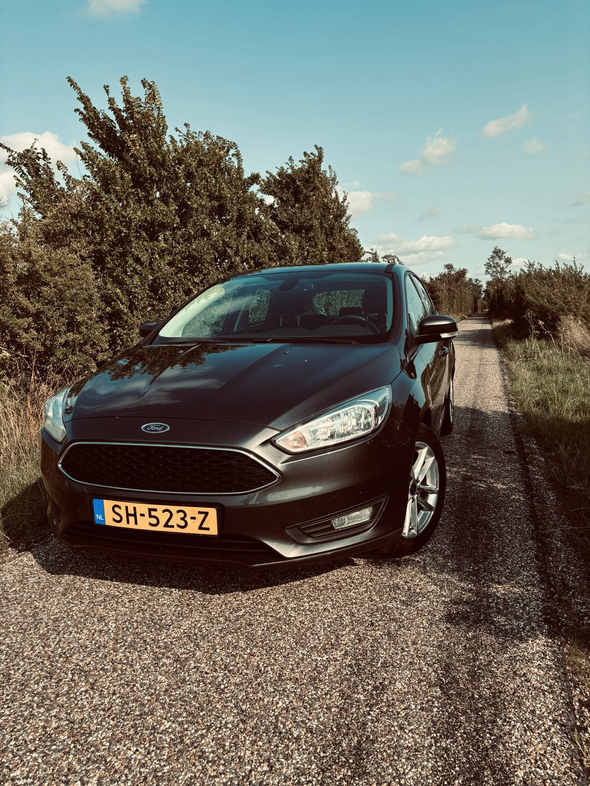 Ford Focus 1.0 Ecoboost 74KW 5D 2018 Grijs nieuwe apk, 635 kg, 100 pk, Handgeschakeld, Particulier