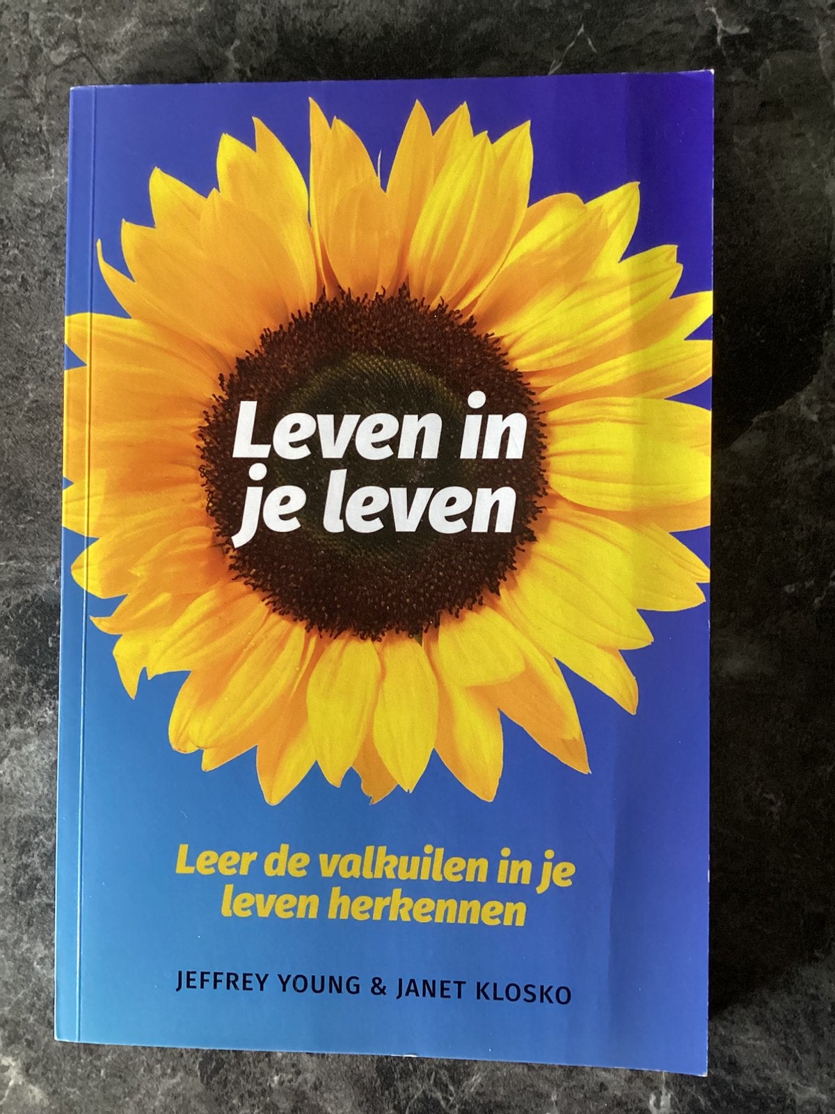 Leven in je leven. Leer de valkuilen in je leven herkennen, Boeken, Ophalen of Verzenden, Zo goed als nieuw
