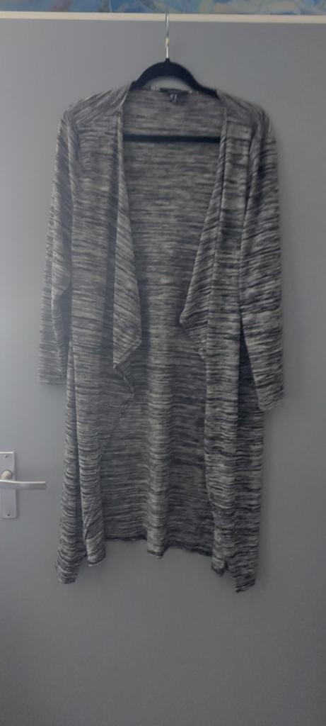 Twee vesten, Ophalen of Verzenden, Zo goed als nieuw, Maat 46/48 (XL) of groter, Zwart