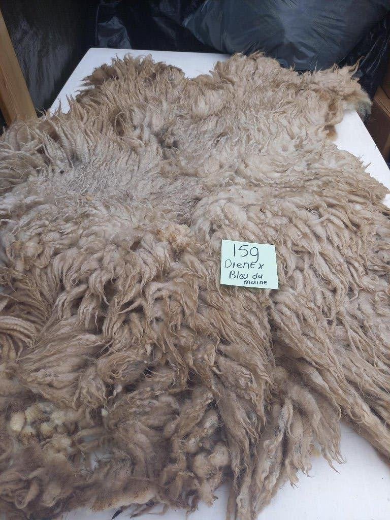 nr 159 Geschoren vacht Drents Heideschaap x Bleu du Maine, Ophalen of Verzenden, Gebruikt