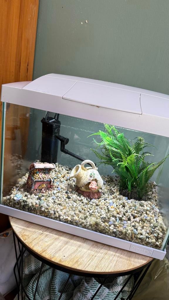 Superfish aquarium 20L, Ophalen, Inclusief planten, Zo goed als nieuw, Leeg aquarium
