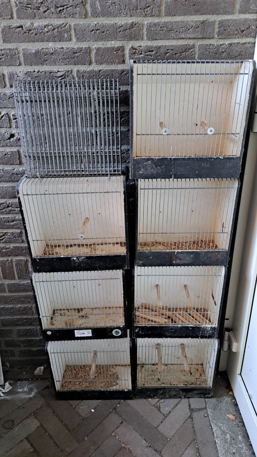 Tentoonstellingskooi tt kooi, Dieren en Toebehoren, Ophalen, Hout, Vogelkooi