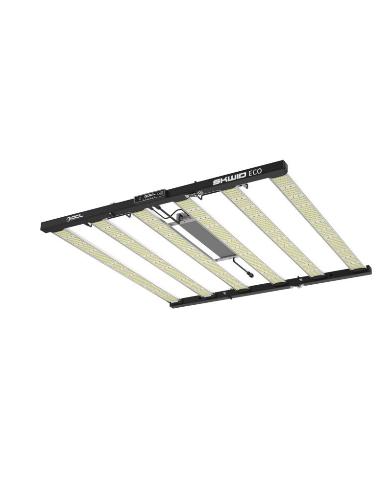 OCL SKWID LED (NERGENS GOEDKOPER) + Gratis controller!, Ophalen, Nieuw