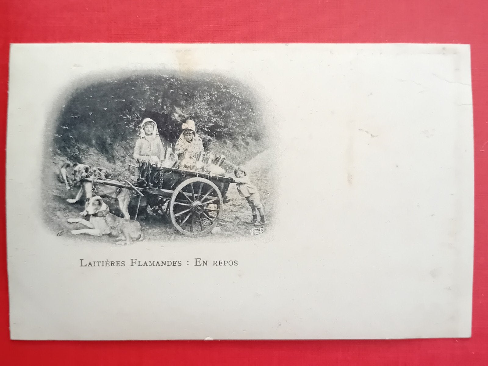 Laitieres Flamandes : En repos, Ophalen of Verzenden