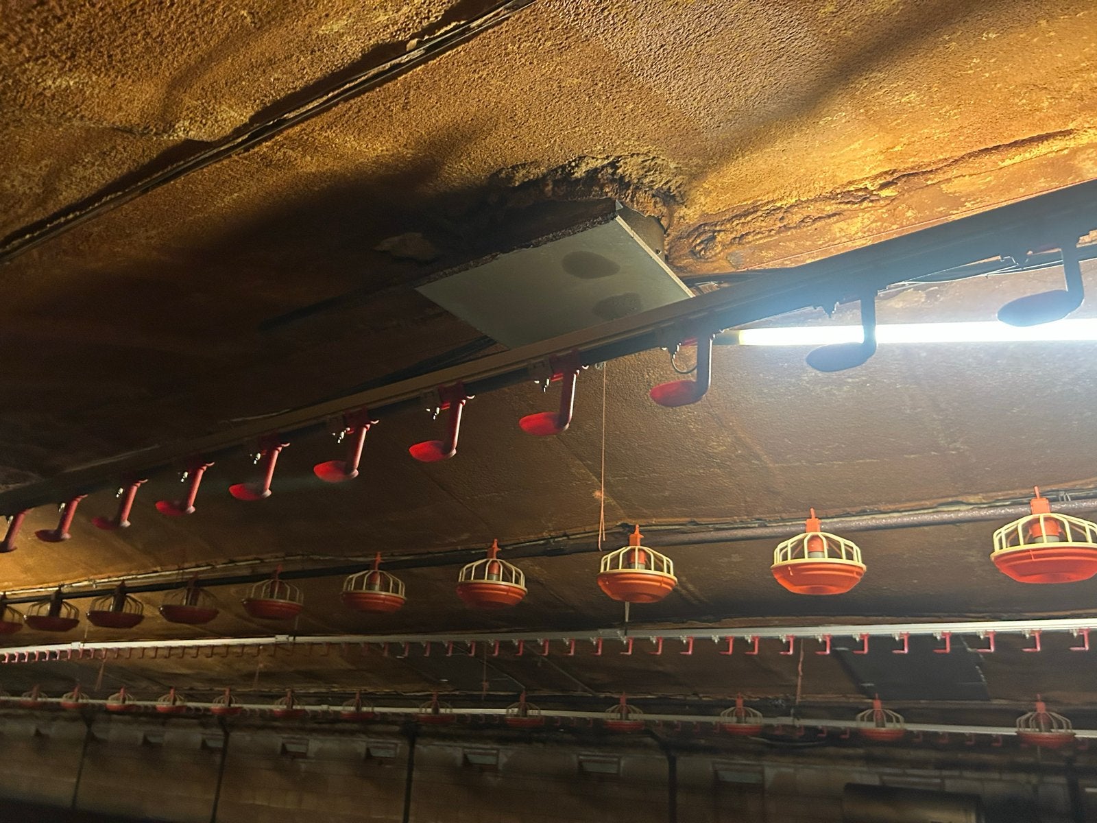 Complete stal inventaris van 3 stallen, Ophalen