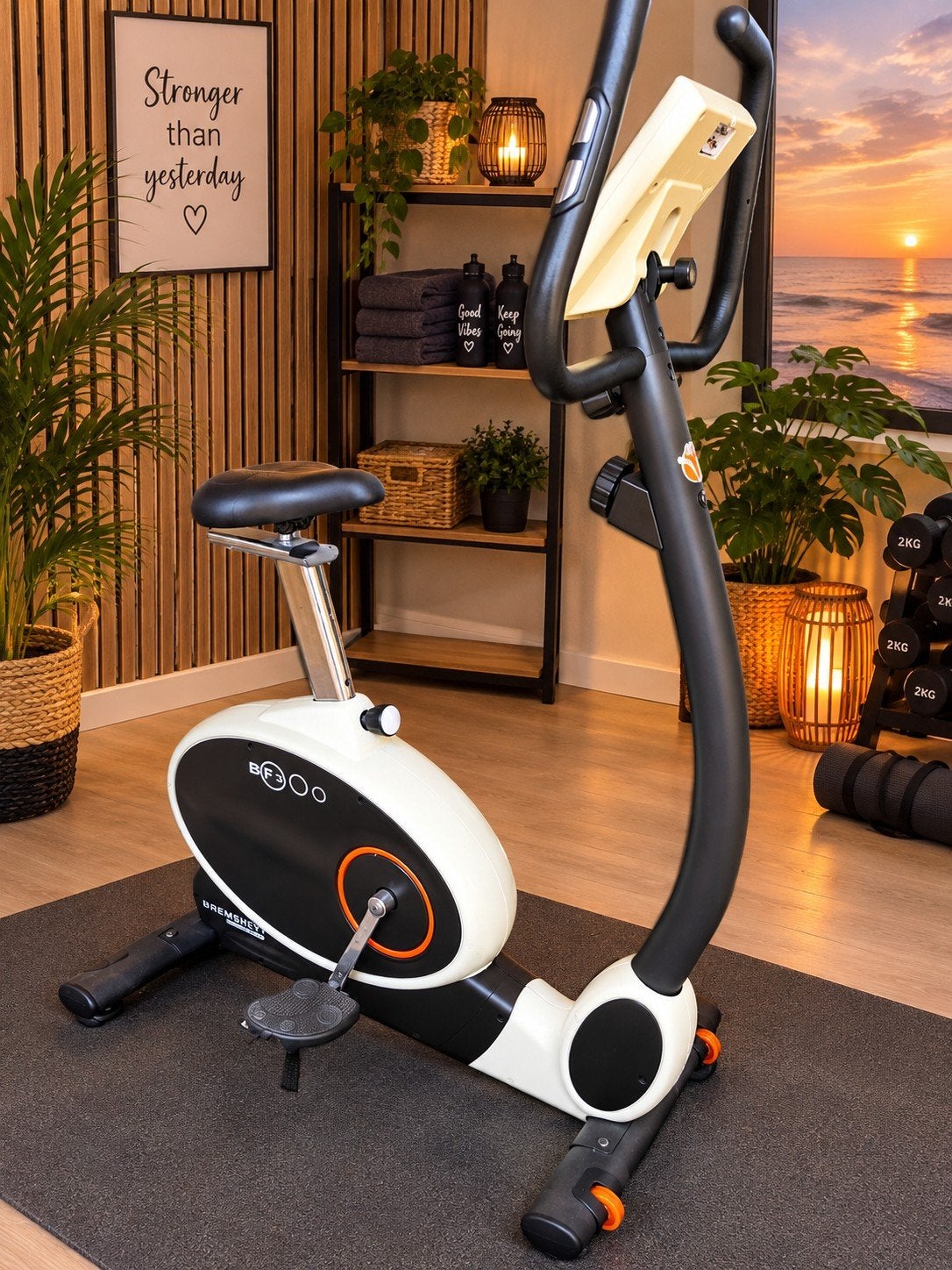 Bremshey BF300 Hometrainer, Ophalen, Gebruikt, Metaal, Benen