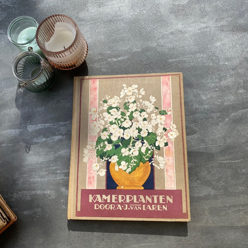Verkade Album - Kamerplanten (A.J. van Laren), Boeken, Ophalen of Verzenden, Gelezen, A.J. van Laren, Plaatjesalbum