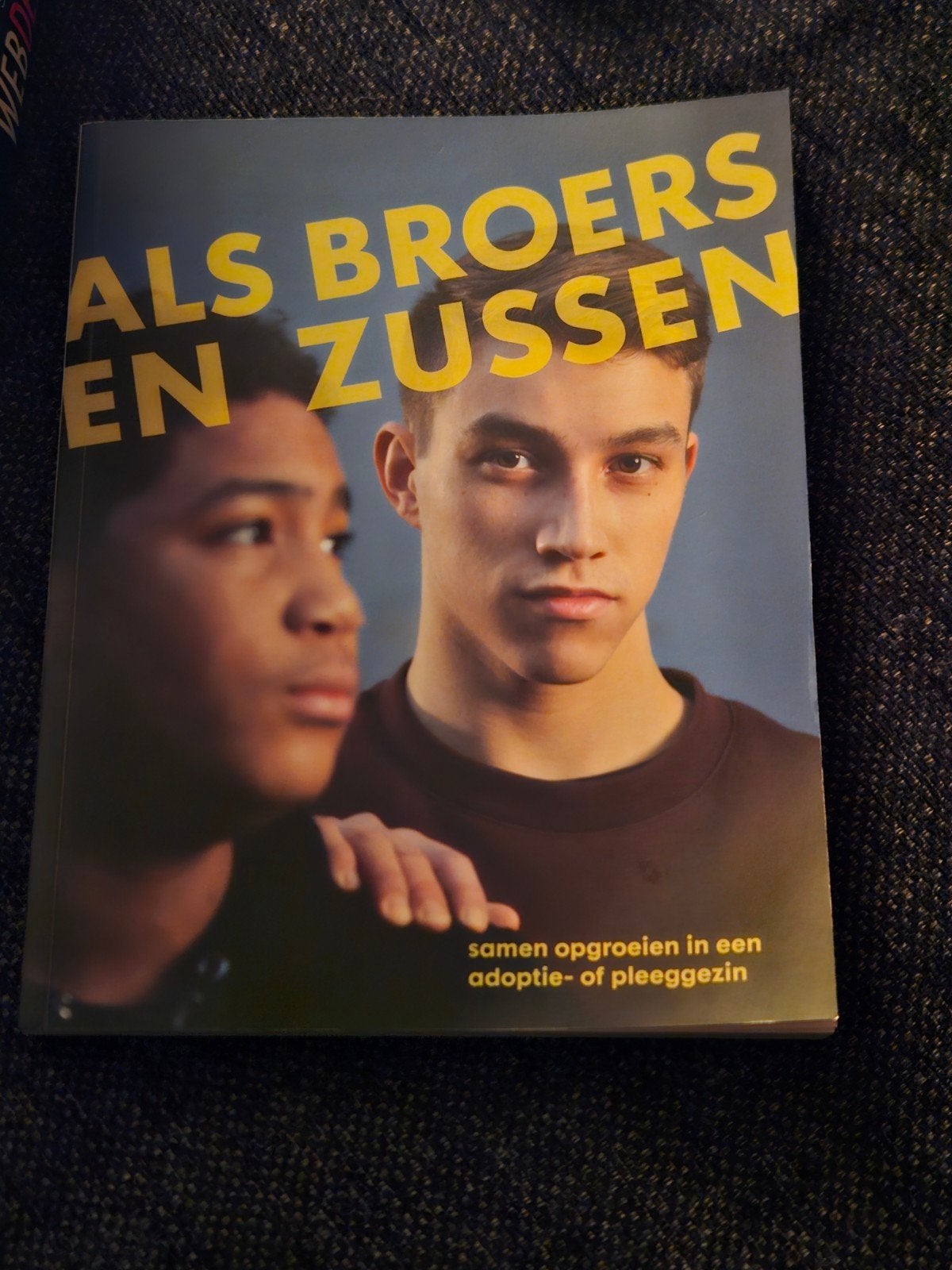 Als Broers en Zussen: Opvoeding in Adoptie/Pleeggezin, Ophalen of Verzenden, Zo goed als nieuw, Opvoeding tot 6 jaar, Femmie Juffer, Lindy Popma, Monique Steenstra