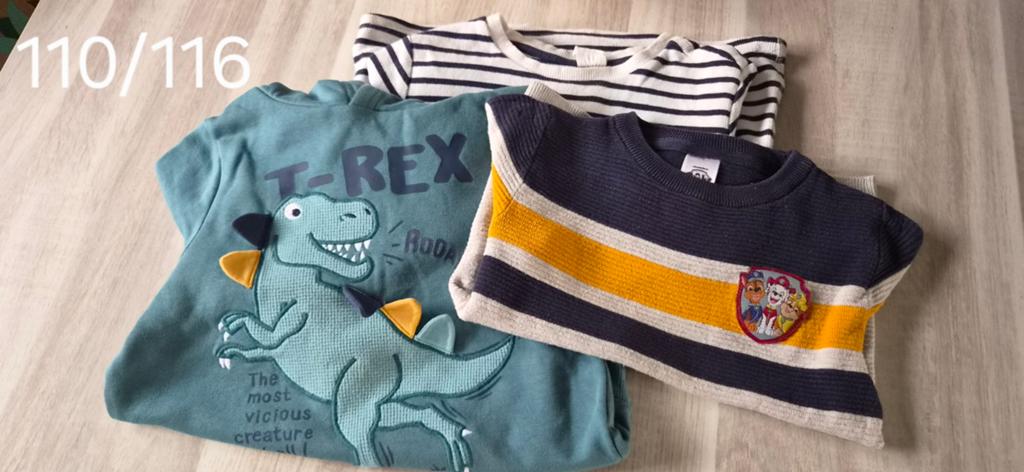 Truien, Ophalen of Verzenden, Meisje, Shirt of Longsleeve