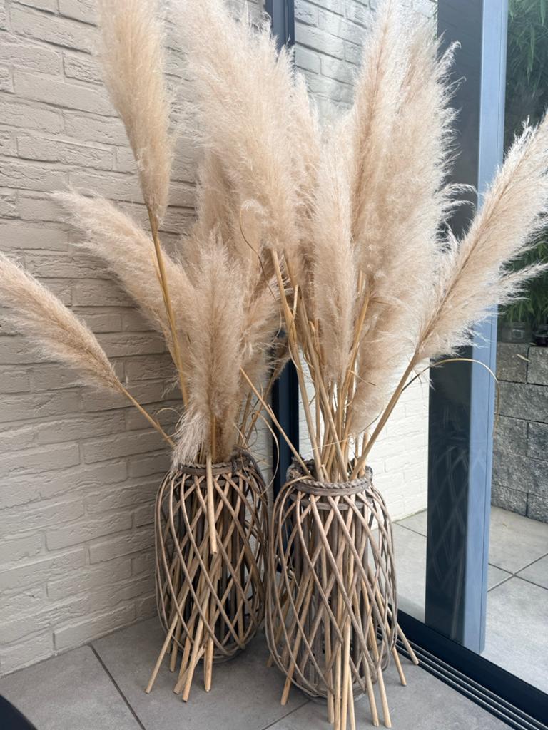 2.grote windlichten met pluimen., Huis en Inrichting, Woonaccessoires | Vazen, Ophalen, Gebruikt, Overige kleuren, 50 tot 75 cm