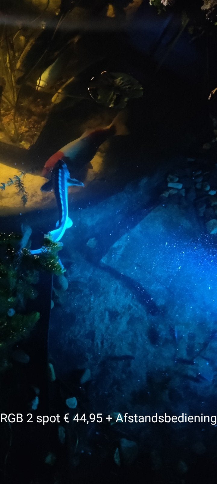 Vijver verlichting pompen en fonteinen, Ophalen of Verzenden, Nieuw