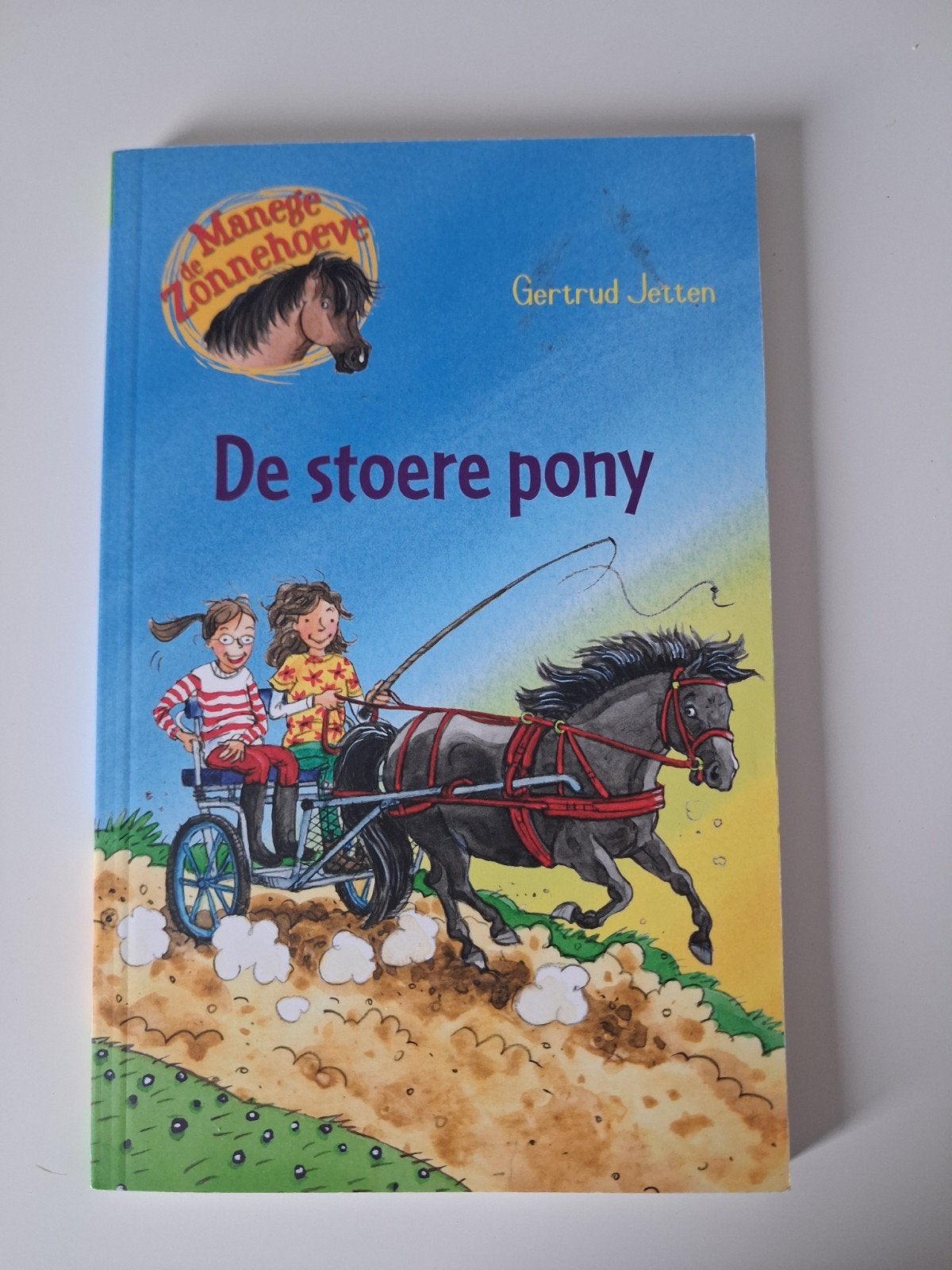 Boek de stoere pony - gertrud jetten, Ophalen of Verzenden, Zo goed als nieuw, Gertrud Jetten