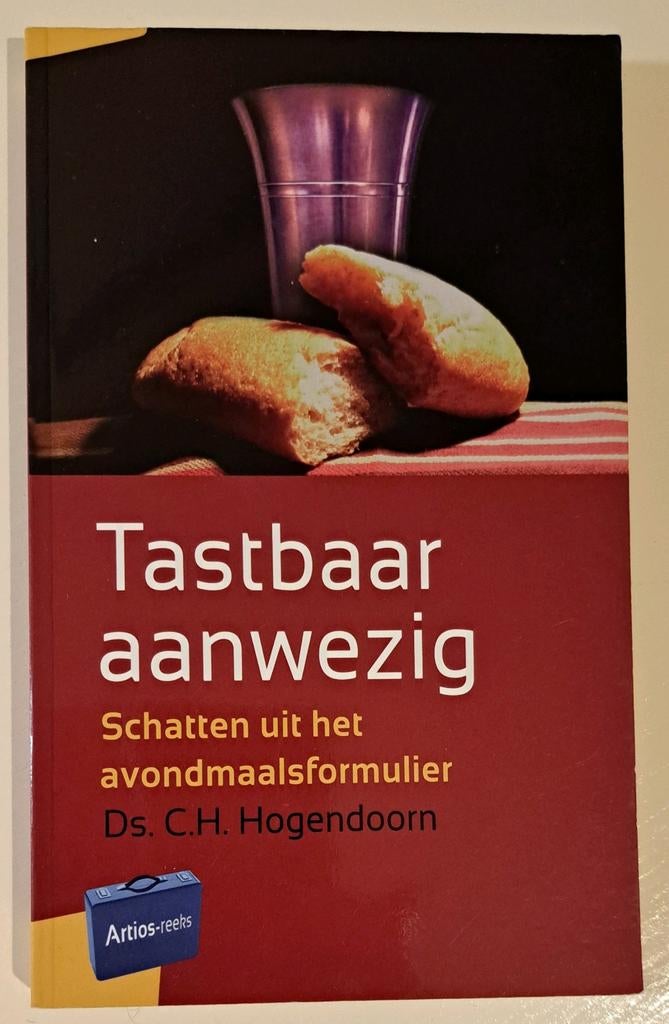 Tastbaar aanwezig - Ds. C.H. Hogendoorn, Ophalen of Verzenden, Zo goed als nieuw, Ds. C.H. Hogendoorn, Christendom | Protestants