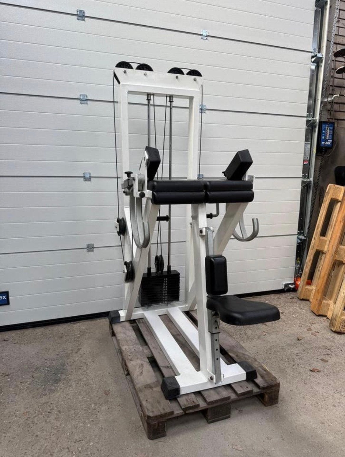 Panatta Biceps curl / Bicep machine / Bizeps / Bizep