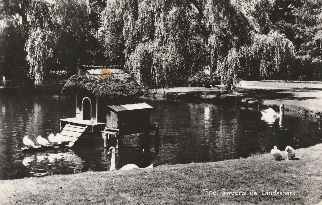 Epe   Zwanenvijver, Ophalen of Verzenden, 1940 tot 1960, Gelopen, Gelderland