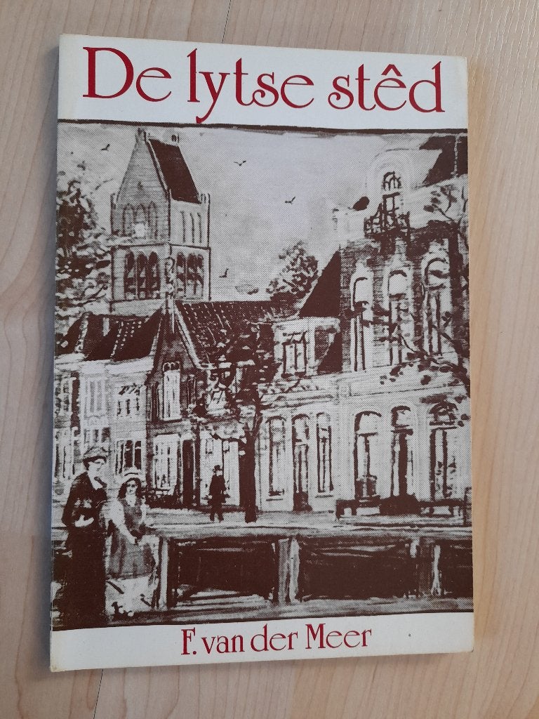 DE LYTSE STED F van der Meer Langforlyn Sudwesthoeke rige 16, Ophalen of Verzenden, Gelezen