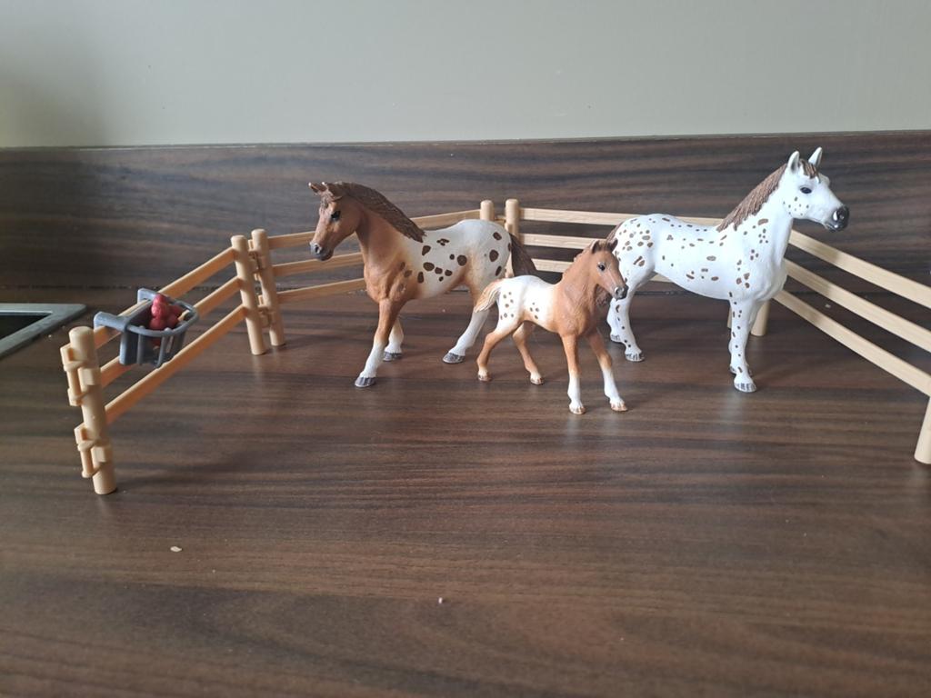 Schleich appaloosa weide, Ophalen of Verzenden, Zo goed als nieuw, Paard, Beeldje of Figuurtje