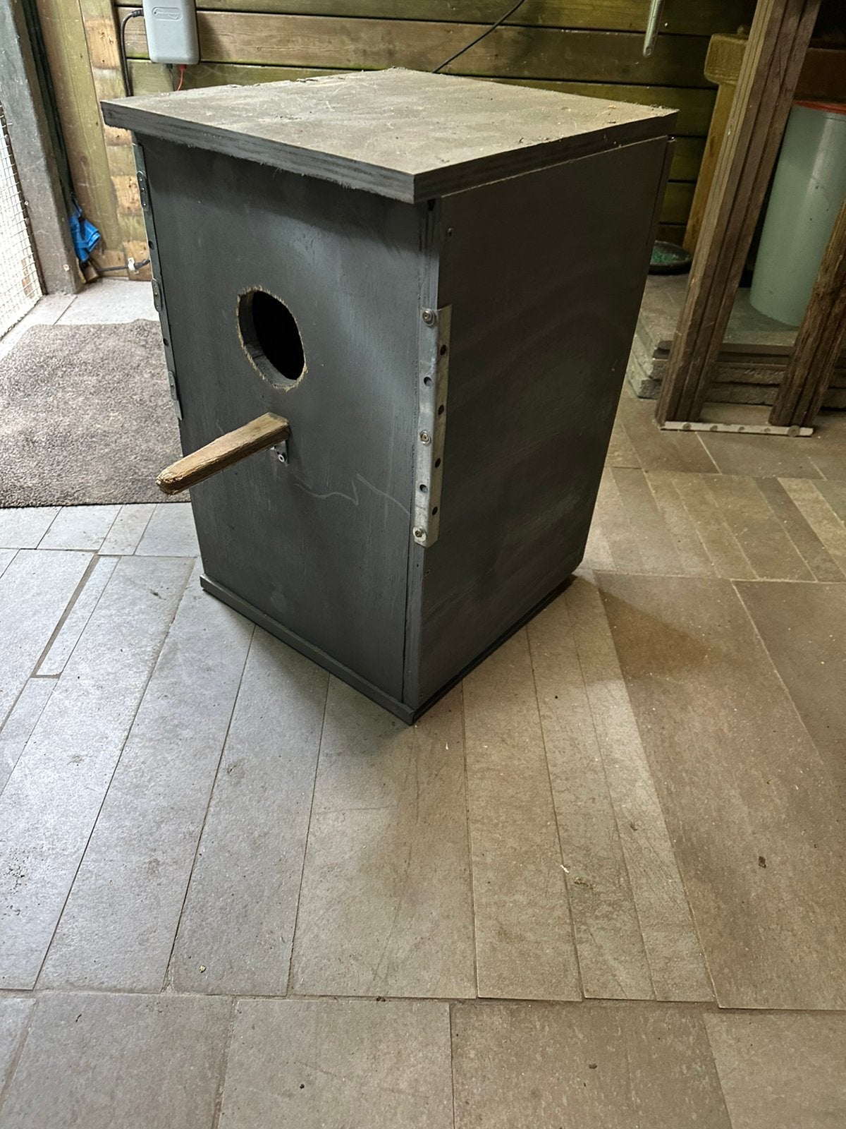 Broedblok parkiet of papegaai, Meerdere dieren, Papegaai