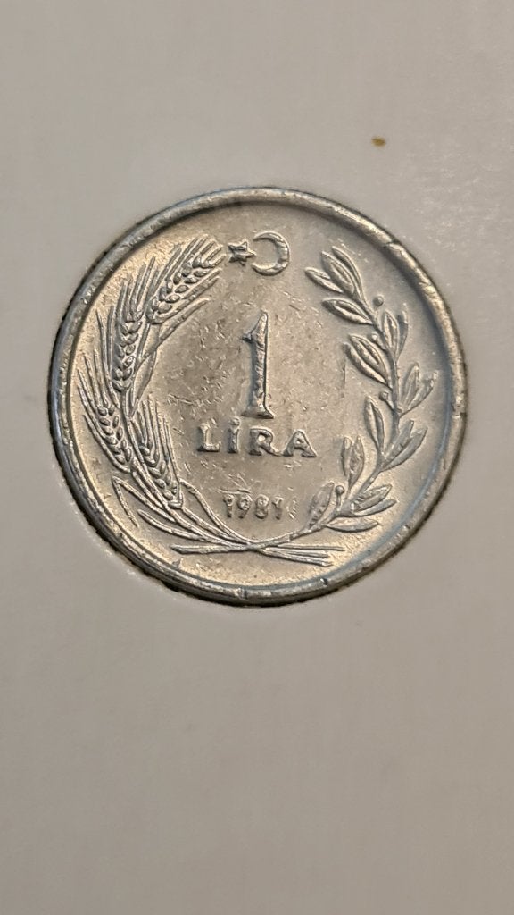Turkije - 1 Lira 1981, Verzenden, Overige landen, Losse munt
